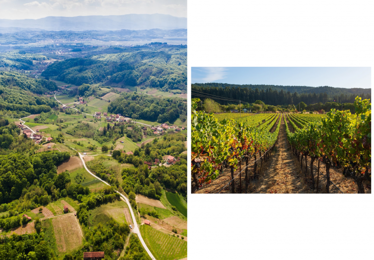 The Living Fairytale: Inside the Family Winemakers of Croatia’s Little Tuscany